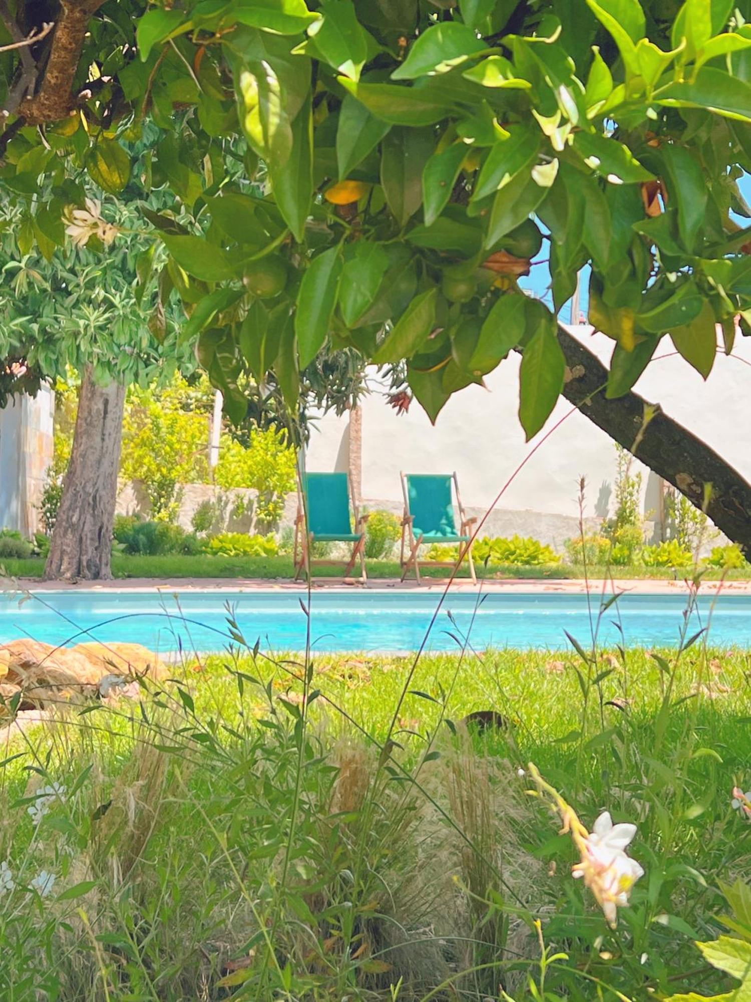 Casa Bizarra Villa Castanheira de Pera Bagian luar foto